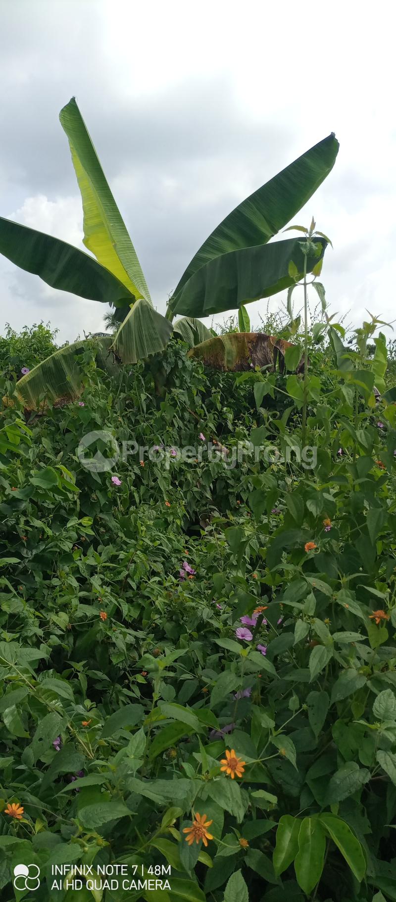 Land for sale Aate Village Ofada Obafemi Owode Ogun