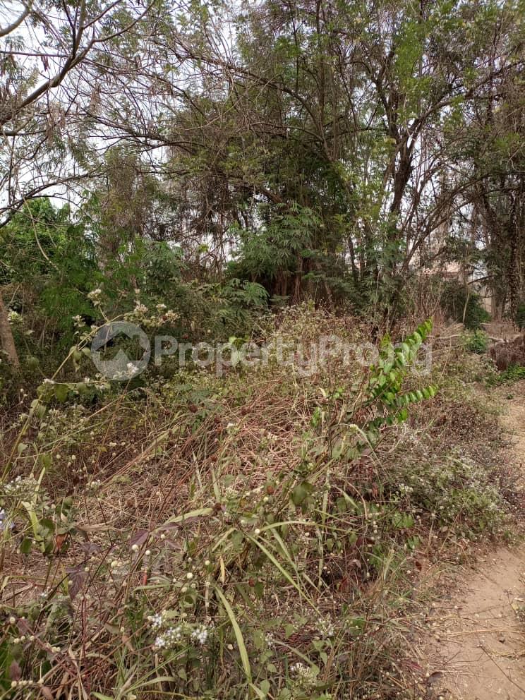 Land for sale Aruloju A3 Express Ojoo Ibadan Oyo