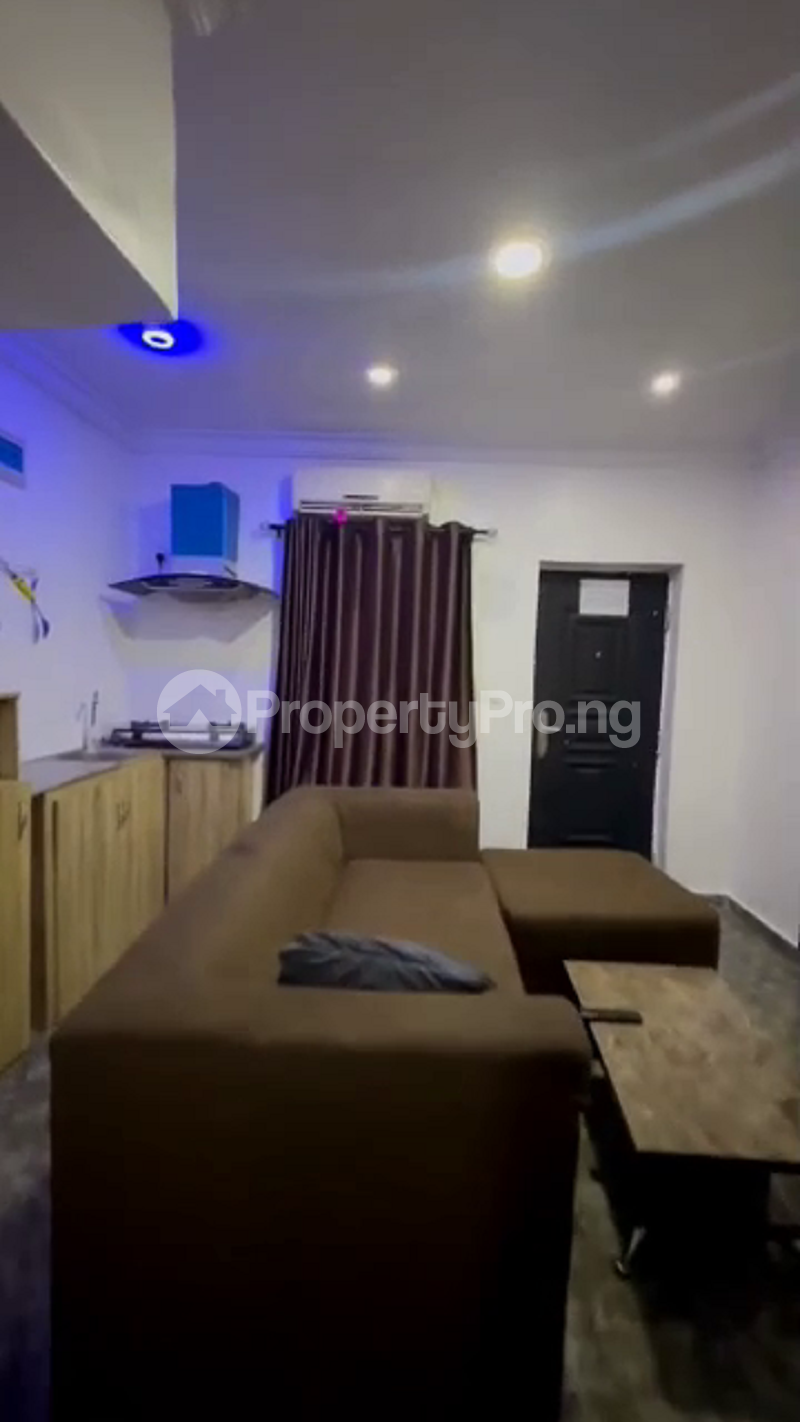 1 bedroom Flat / Apartment for shortlet Ogunlana Surulere Lagos - 6