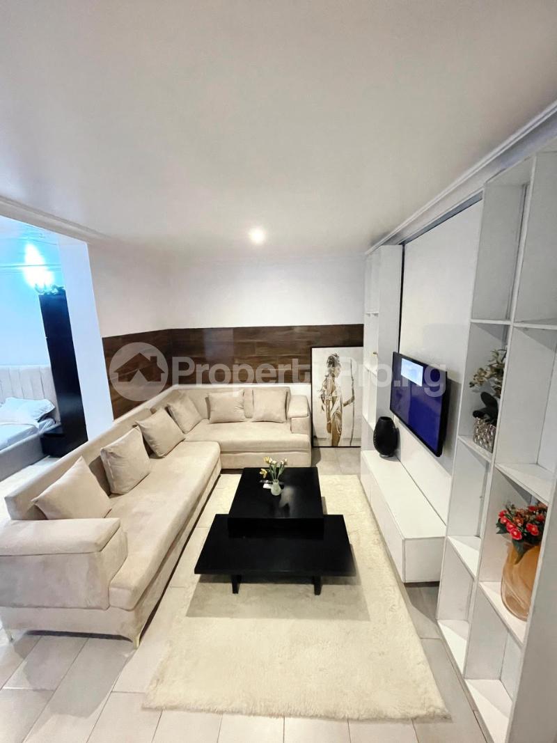 1 bedroom Flat / Apartment for rent Ayoola Coker Gra Ikeja Ikeja GRA Ikeja Lagos - 6