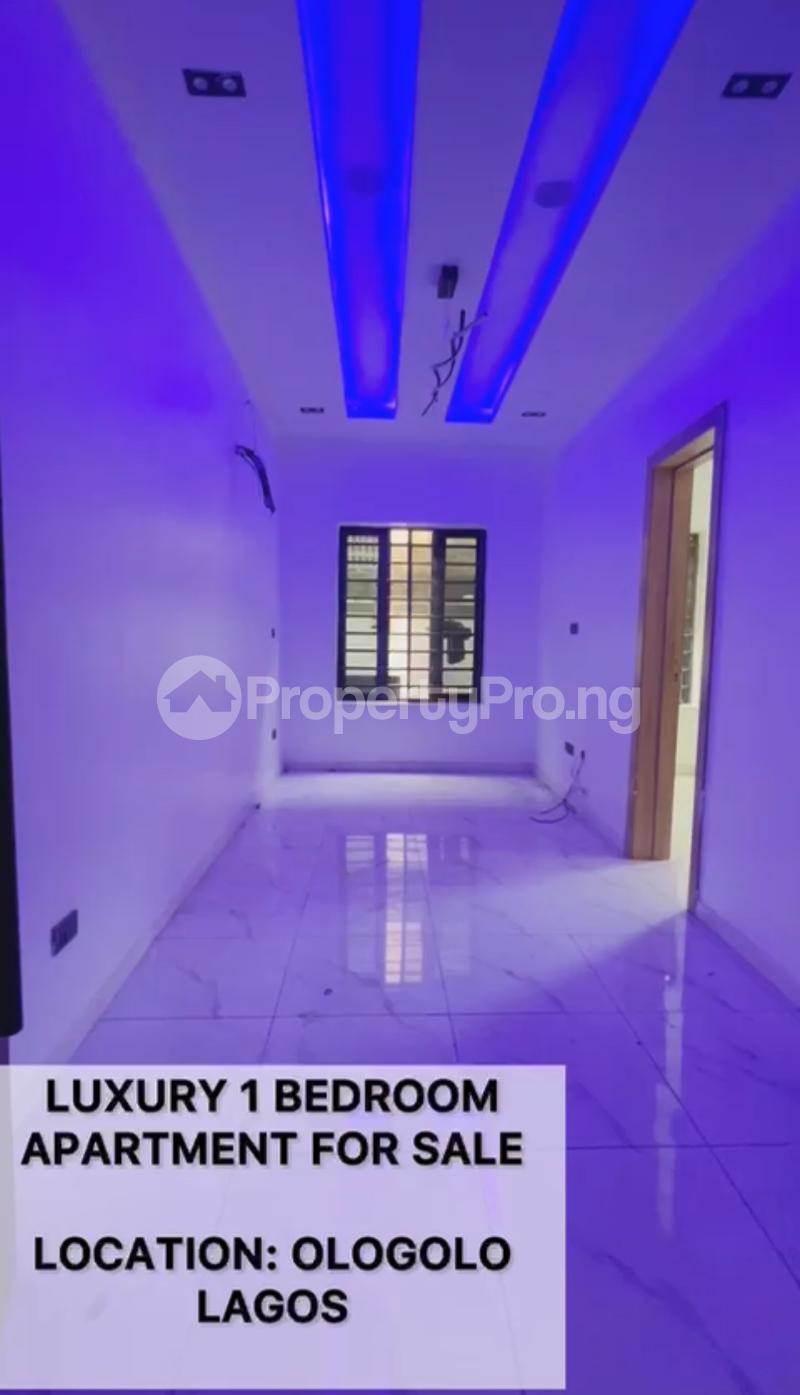 1 bedroom Flat / Apartment for rent Ologolo Lekki Lagos