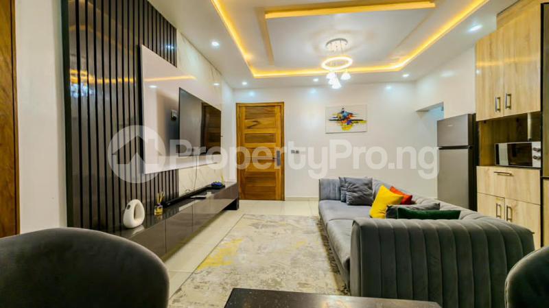 1 bedroom Flat / Apartment for shortlet Ikate Lekki Lagos - 3