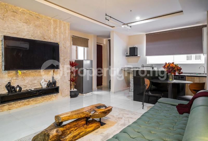 1 bedroom Flat / Apartment for shortlet Ikoyi Lagos