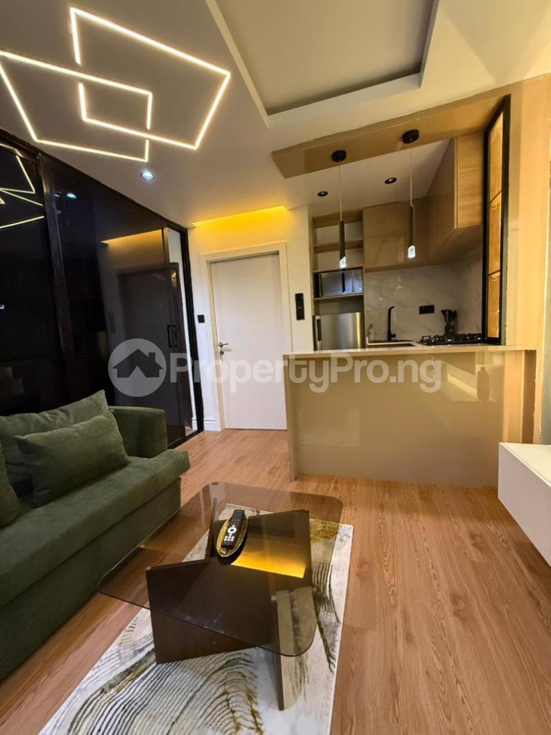 1 bedroom Flat / Apartment for rent Lekki Phase 1, Lekki Lekki Phase 1 Lekki Lagos