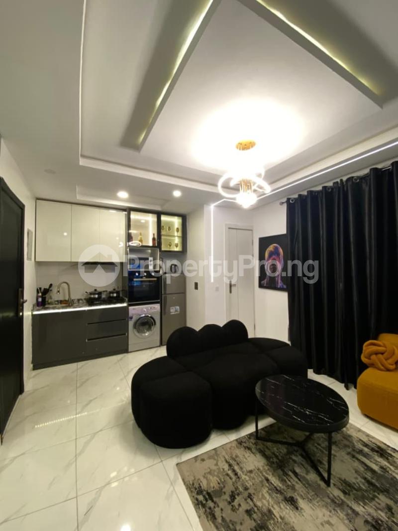 1 bedroom Flat / Apartment for shortlet Ikate Lekki Lagos