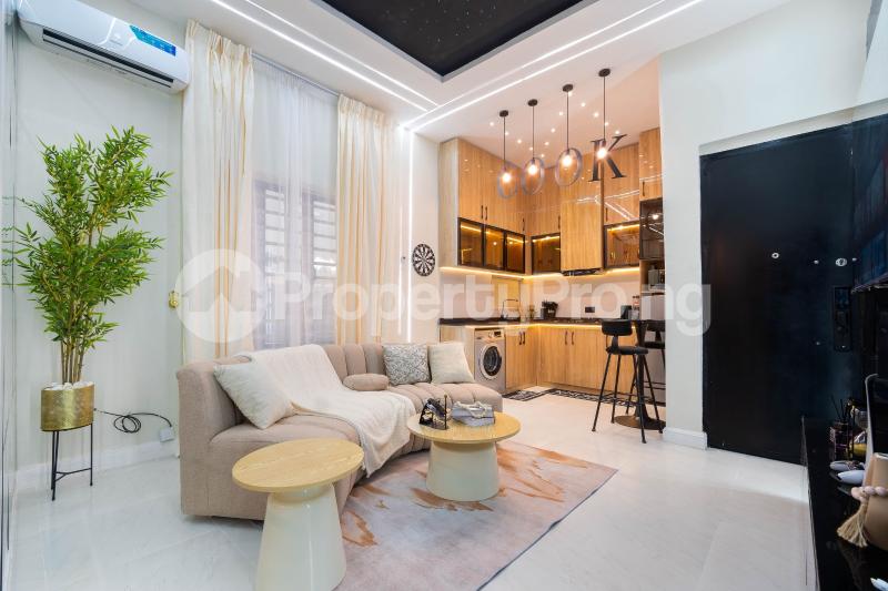 1 bedroom Flat / Apartment for shortlet Ikate Lekki Lagos
