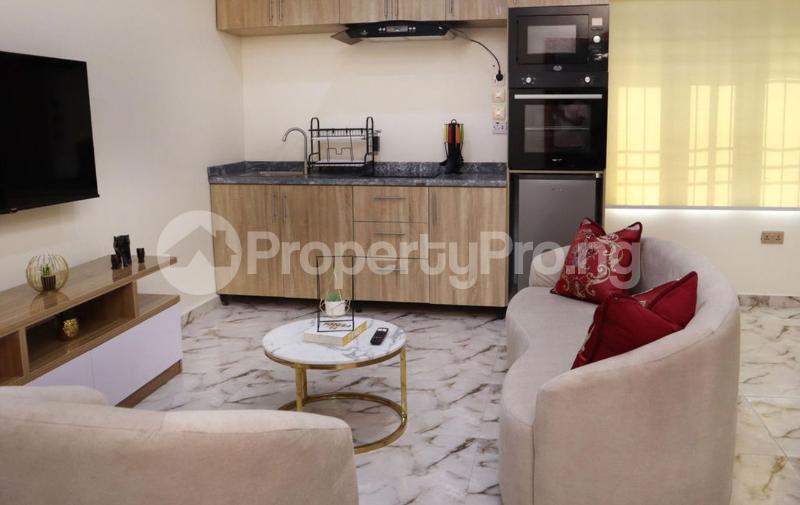 1 bedroom Flat / Apartment for shortlet Ikeja Ikeja Lagos - 1