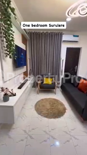 1 bedroom Flat / Apartment for shortlet Surulere Lagos