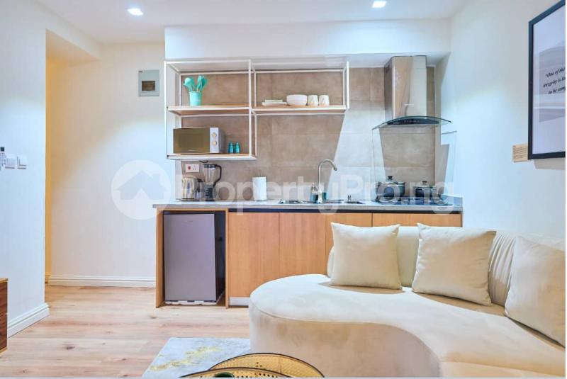 1 bedroom Flat / Apartment for shortlet  Lekki Phase 1 Lekki Lagos