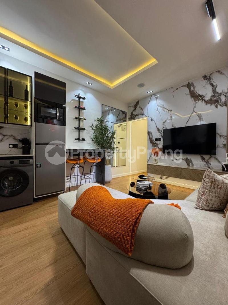 1 bedroom Flat / Apartment for shortlet Ikate Lekki Lagos - 4