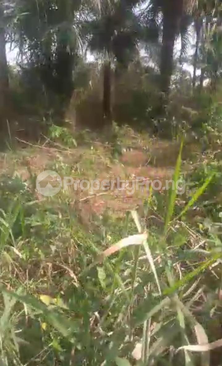 Land for sale Ubahaeze Orodo Mbaitoli Lga Mbatoli Imo