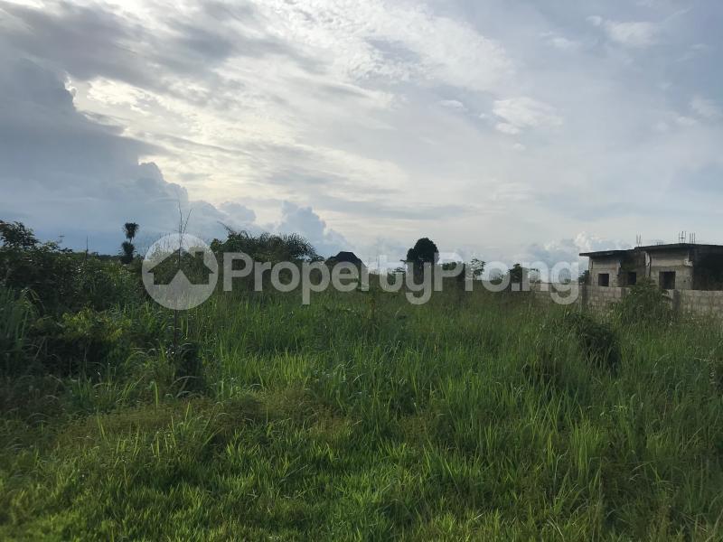 Land for sale Located Off Port Harcourt Road, Owerri Owerri Imo