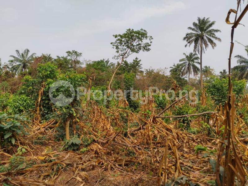 Land for sale Lagelu Local Government Secretariat Iyana Offa Iwo Rd Ibadan Oyo