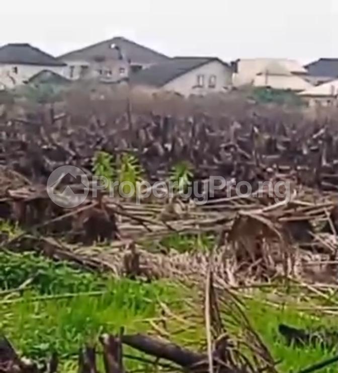 Land for sale Olotun Village Behind Rccg Old Auditorium, Mowe Obafemi Owode Ogun