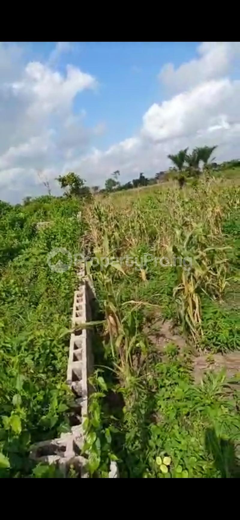 Land for sale Sokoto Road Ado Odo/Ota Ogun