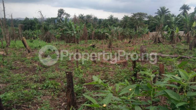 Land for sale At Different Locations Akobo Ibadan Oyo