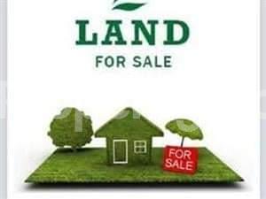Land for sale Ilasan Ikate Lekki Lagos