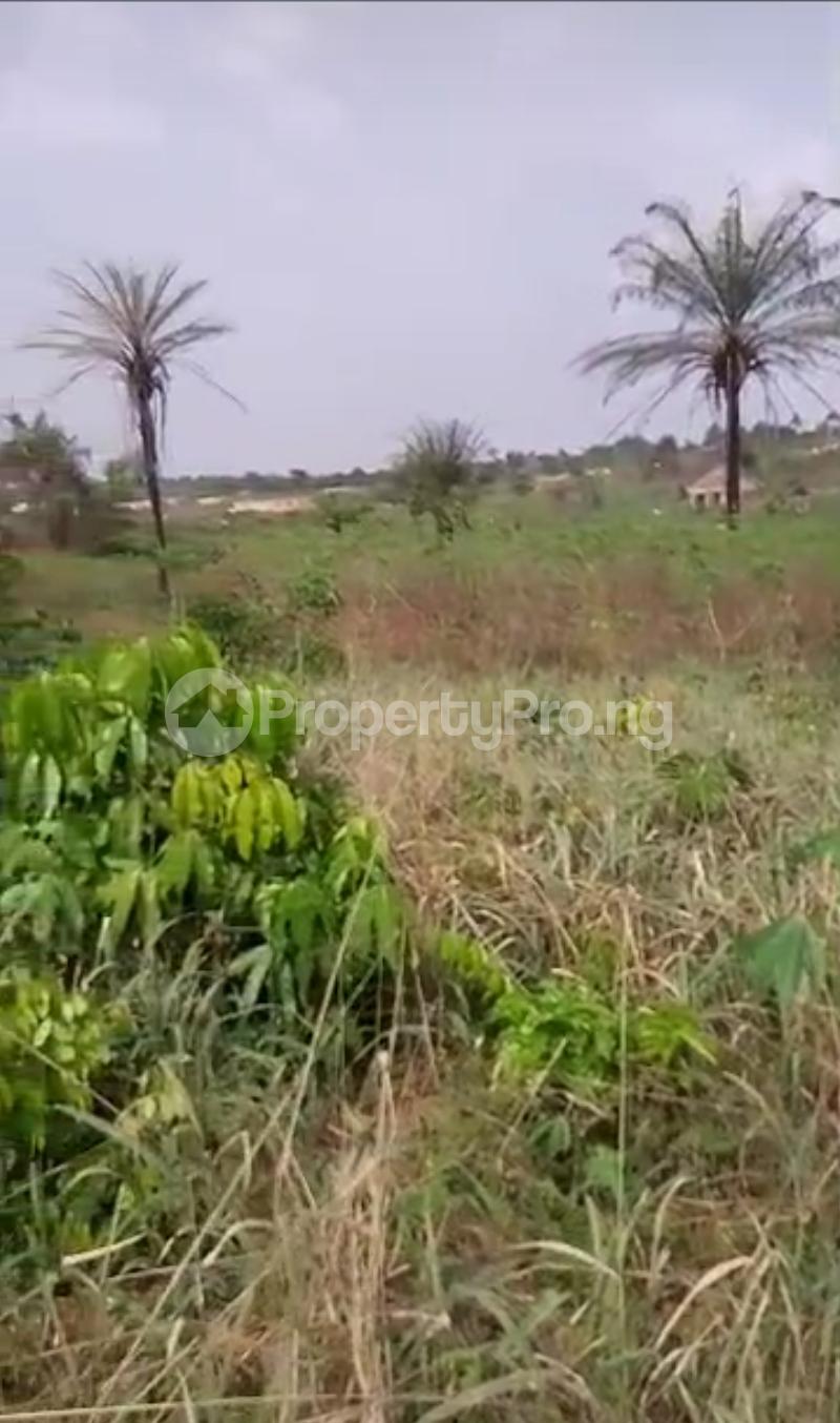 Land for sale Location :utoka, Boundary By Egor, Through Egor Market Area Egor Edo - 0