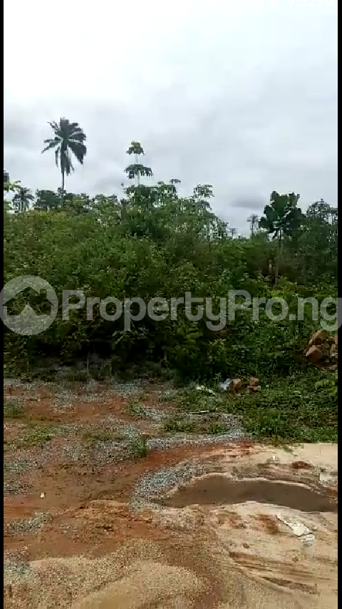 Land for sale Iyanomor Community, Sapele Road By Pass By Biu Oredo Edo - 0