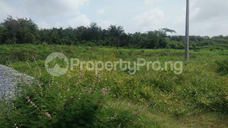 Land for sale Ibadan Ife Express Way Iwo Rd Ibadan Oyo - 0