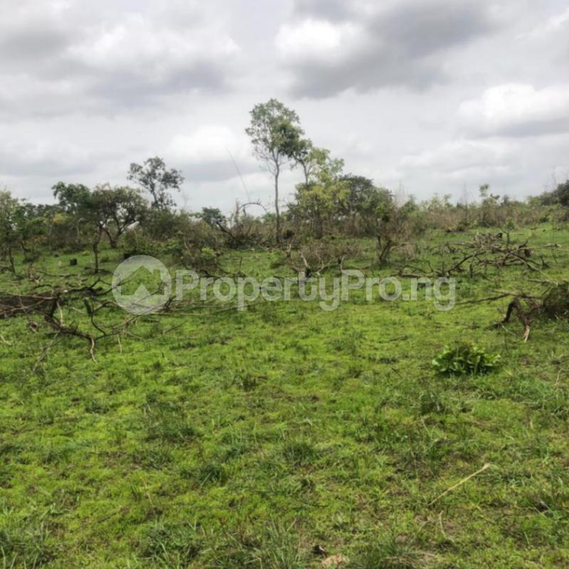 Land for sale Ogbomosho North Oyo