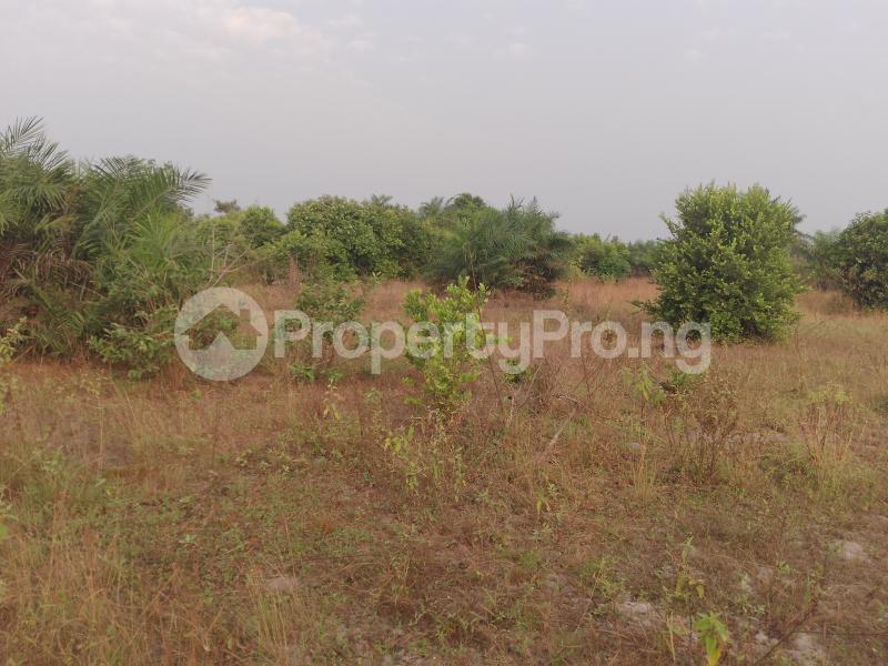 Land for sale Igbonla Epe Lagos