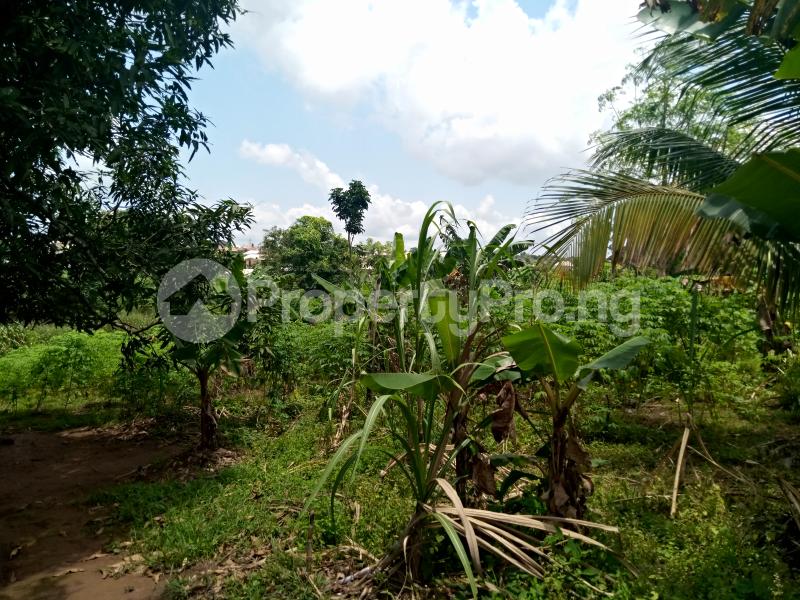 Land for sale 100ft By 100ft Land For Sale At Oko Community, Airport Road Before Ogba Zoo Going For #8m. Oredo Edo