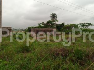 Land for sale Along The Express Sapele Road Bypass, Opposite Eagle Gas Plant, Before Idogbo Oredo Edo