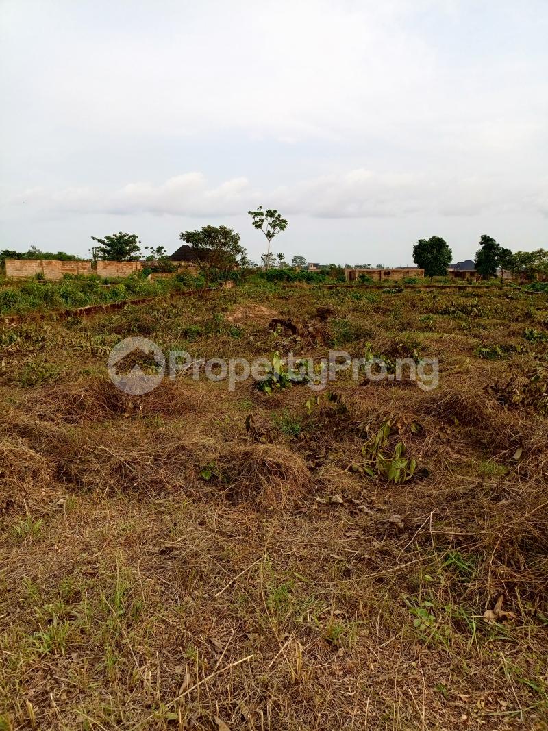 Land for sale 2nd Utangban Off Upper Ekewan Road Before The Barack Also Access Through Evbuodia Community Airport Road Extension Oredo Edo - 5