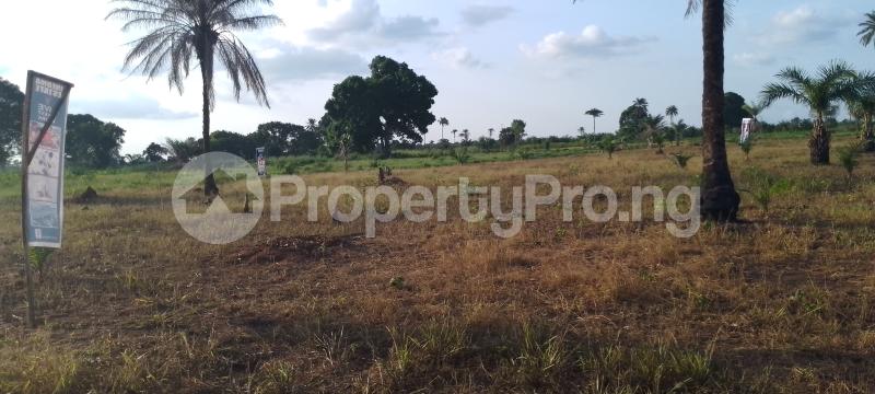 Land for sale Aniocha Delta - 0