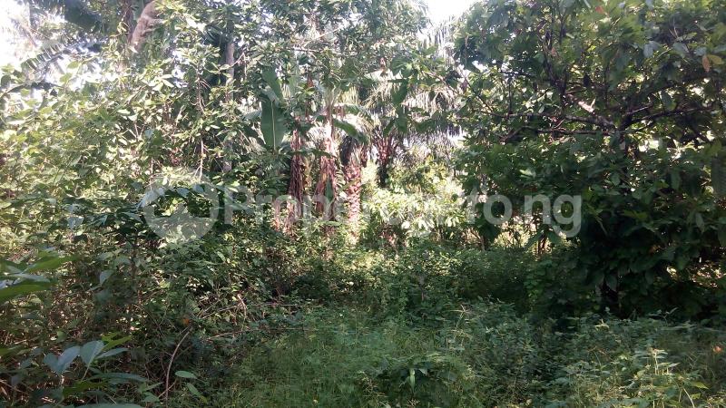 Land for sale Ilado Community Akure Ondo