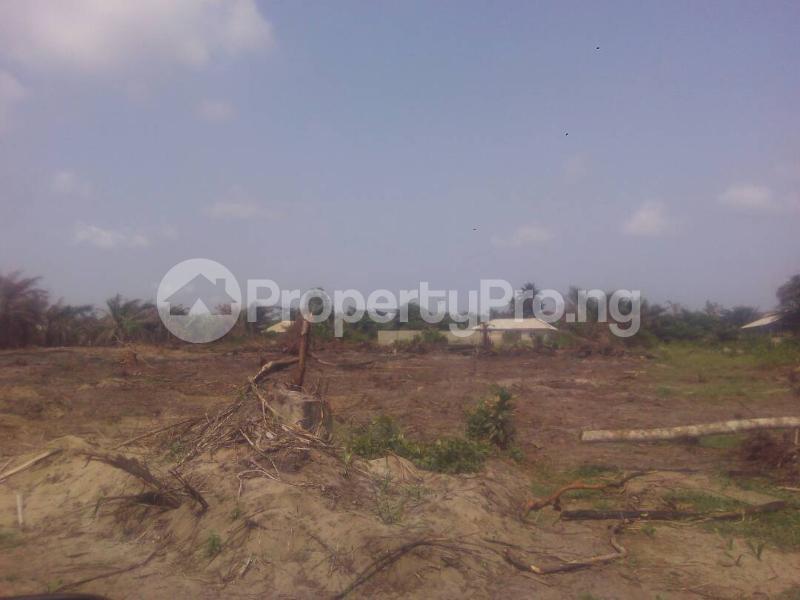 Land for sale Behind Pan African University, After Eleko Bus Stop, Ibeju Lekki, Lekki, Lagos Eleko Ibeju-Lekki Lagos
