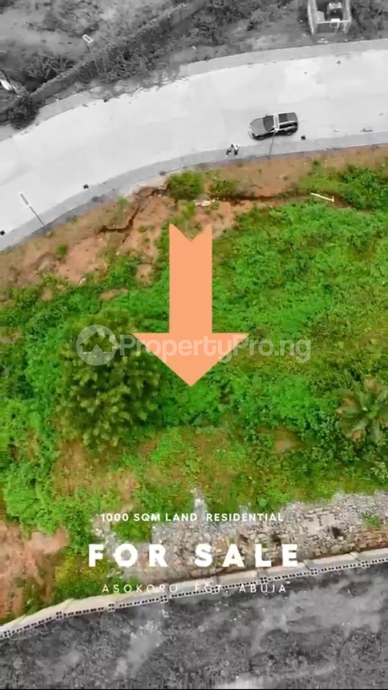 Land for sale Asokoro Abuja