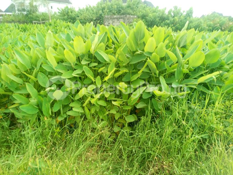 Land for sale 181rd Festac Festac Amuwo Odofin Lagos