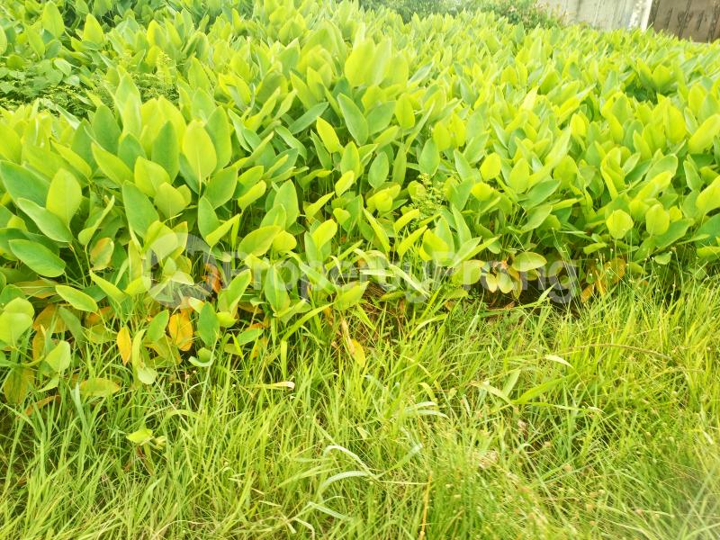 Land for sale 7th Avenue Festac Amuwo Odofin Lagos