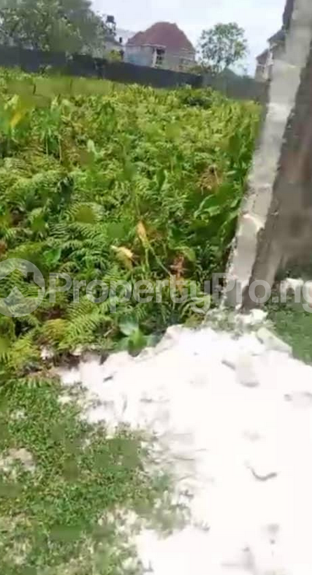 Land for sale 6th Avenue Festac Amuwo Odofin Lagos