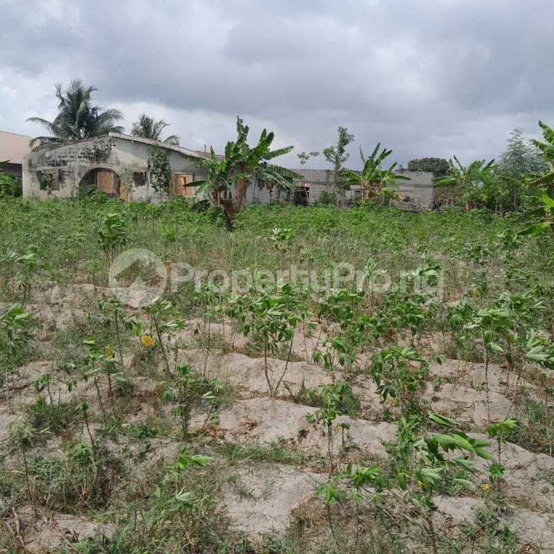 Land for sale Oke-Ira Ogba Lagos - 0