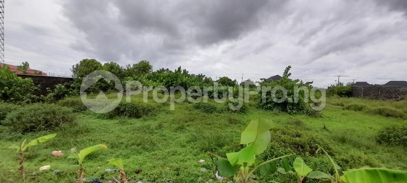 Land for sale Ilaje Lekki Phase 2 Lekki Lagos - 2