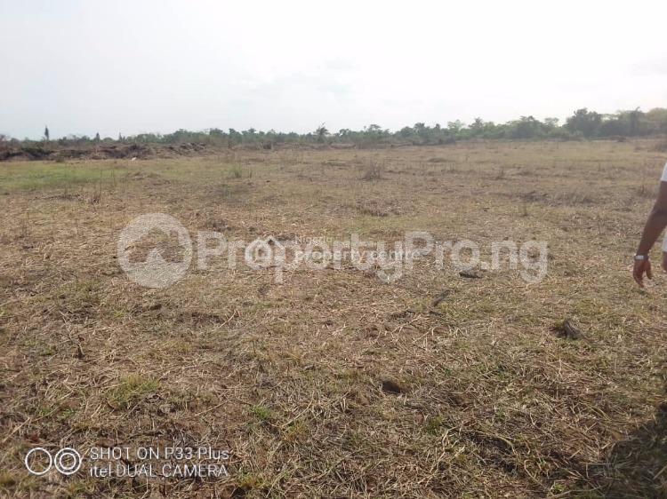 Land for sale Along Midwifery Road,okpanam Asaba Asaba Delta