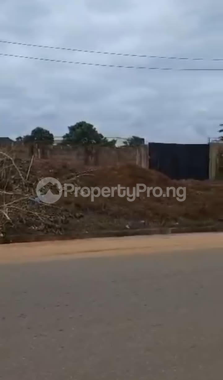 Land for sale Along Amagba Main Tarred Road Opposite Biu Estate Amagba Gra, Central Edo