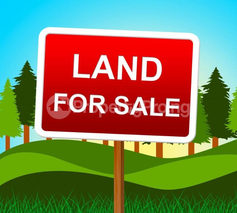 Land for sale Warri Sapele Road, Opposite Our Ladies High School, Effurun Warri Delta - 0