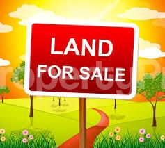 Land for sale Ring Road Iyanganku Ibadan Oyo