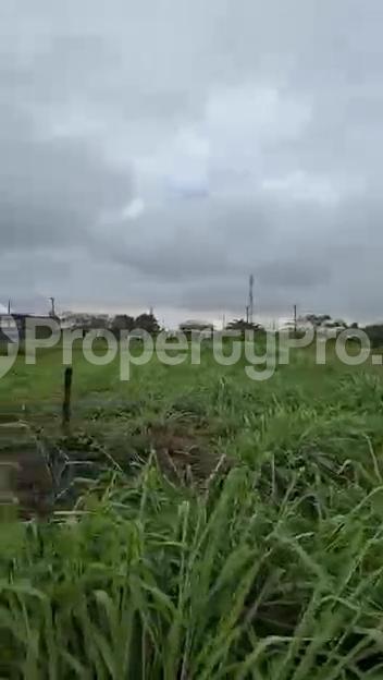 Land for sale Off Lekki-Epe Expressway Ajah Lagos
