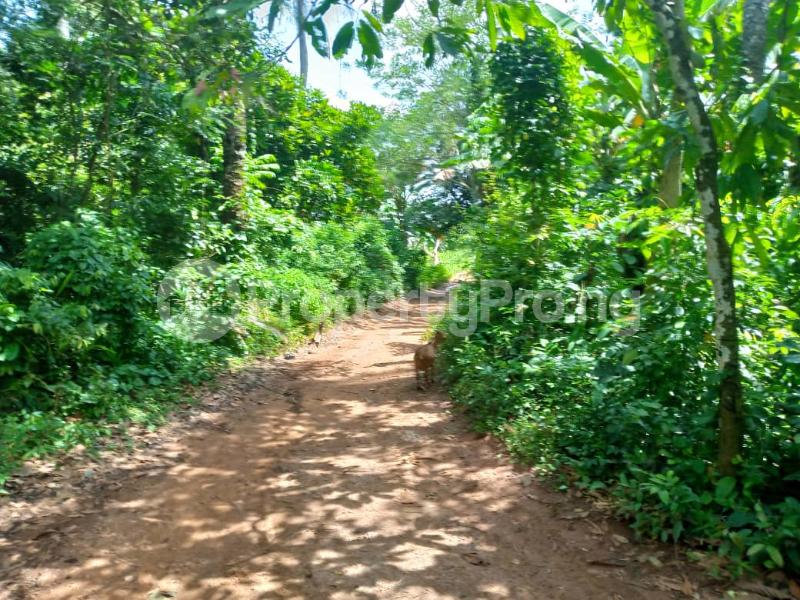 Land for sale Ibadan Oyo