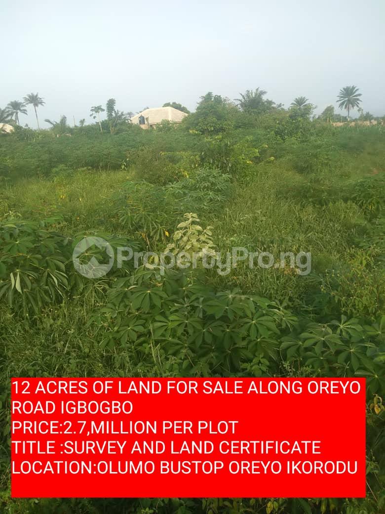 Land for sale Olumo Bustop Igbogbo Ikorodu Lagos