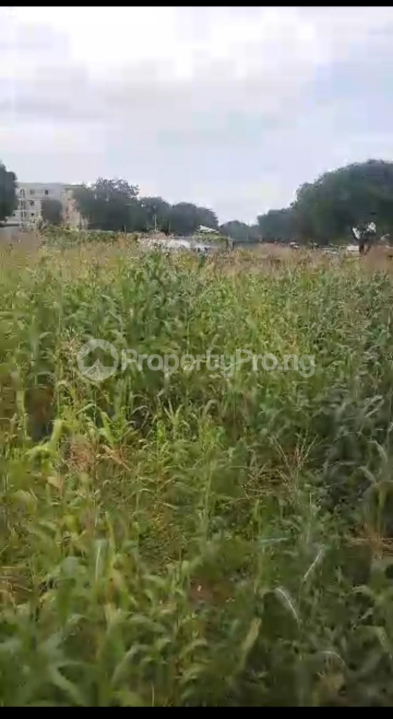 Land for sale By Nizamiya Hospital Mbora (Nbora) Abuja