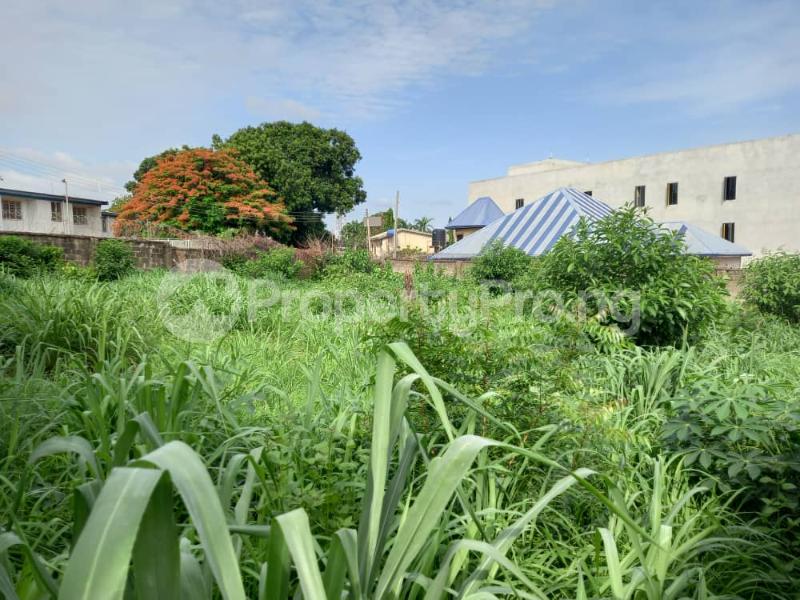 Land for sale Paradise Estate, By Ebeano Tunnel Enugu Enugu