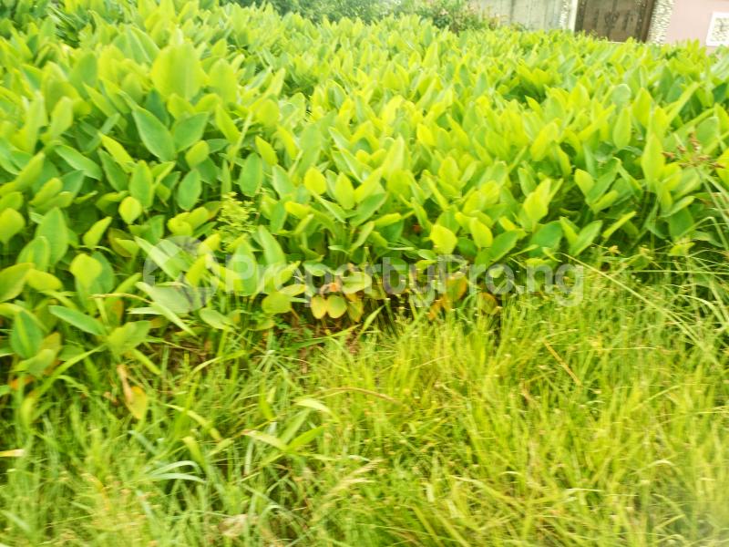 Land for sale 6th Avenue Festac Amuwo Odofin Lagos