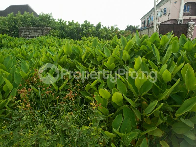 Land for sale 73b Festac Amuwo Odofin Lagos