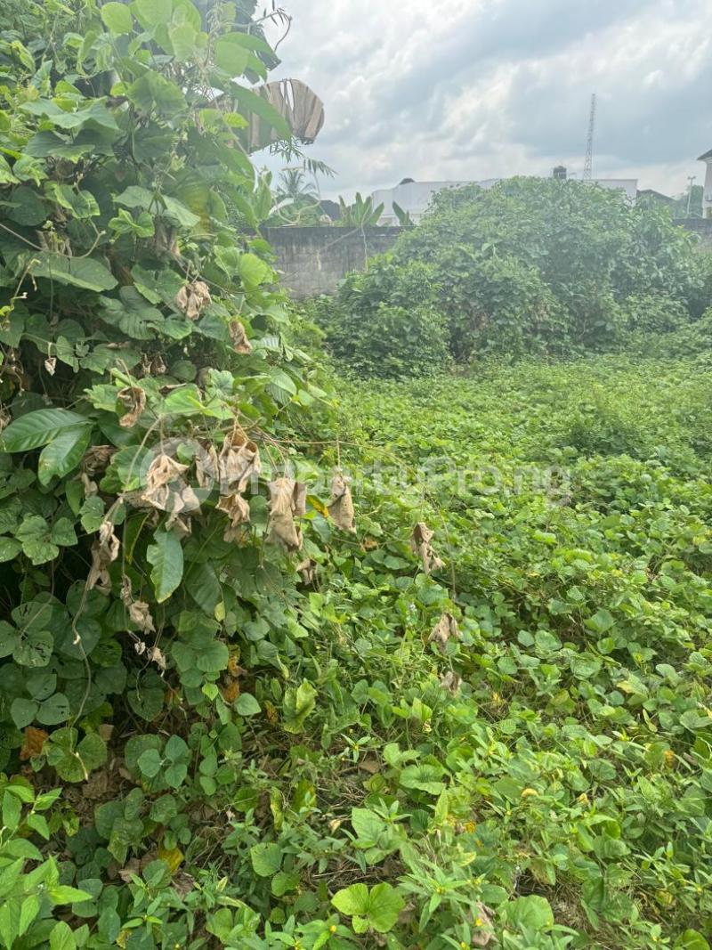 Land for sale Shelter Afrique Uyo Akwa Ibom